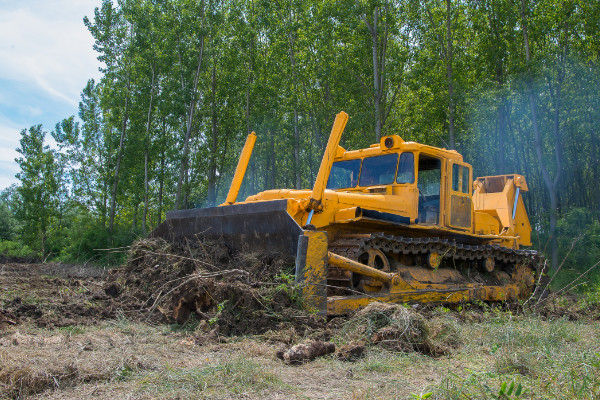 Lot Clearing
